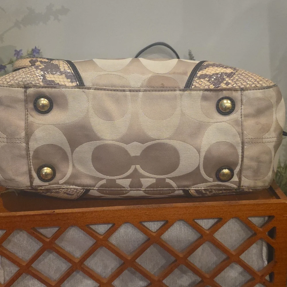 Coach Collette Snake Embossed Carry All
